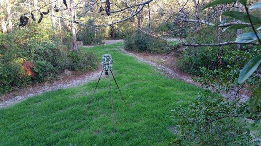 This beautiful, serene piece of property is high and dry and ready for whatever you desire. Lot is partially cleared and ready for your new home OR use it for your own private getaway. The property has a container already on site ready for use. The natural fed spring will be sure to draw in the local wildlife. A road has been cleared through the property for easy access. The property is mostly surrounded by military reservation for additional privacy. Utilites available at the street.