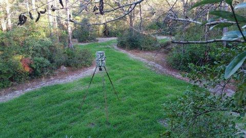 Photo of TBD Sowell Drive, Crestview, FL 32539 (MLS # 971505) Photo of TBD Sowell Drive, Crestview, FL 32539 (MLS # 971505)