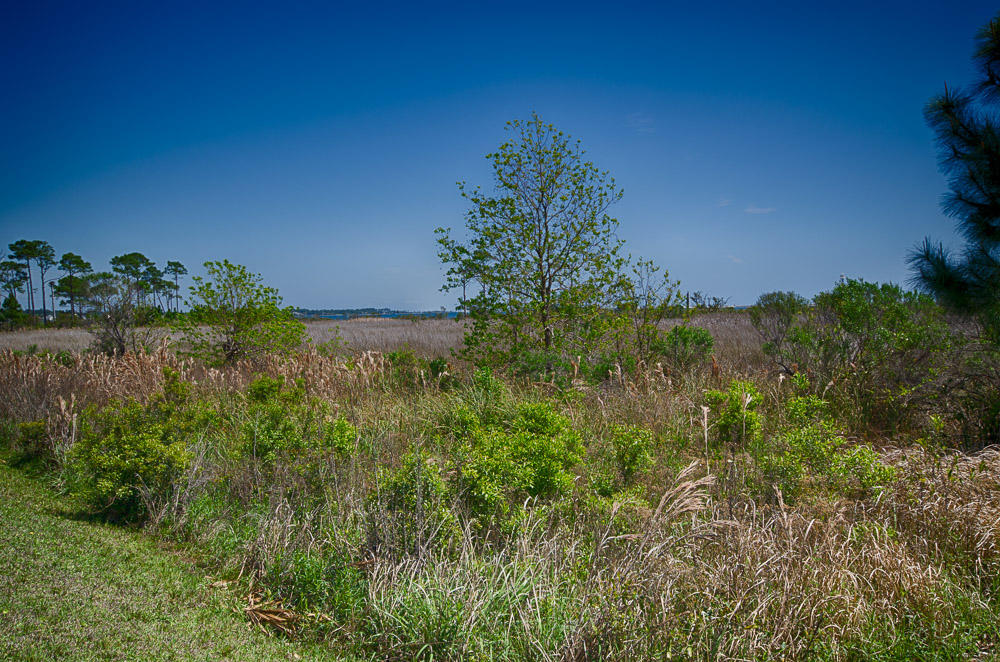 EMERALD POINTE PLAT 3 - Residential