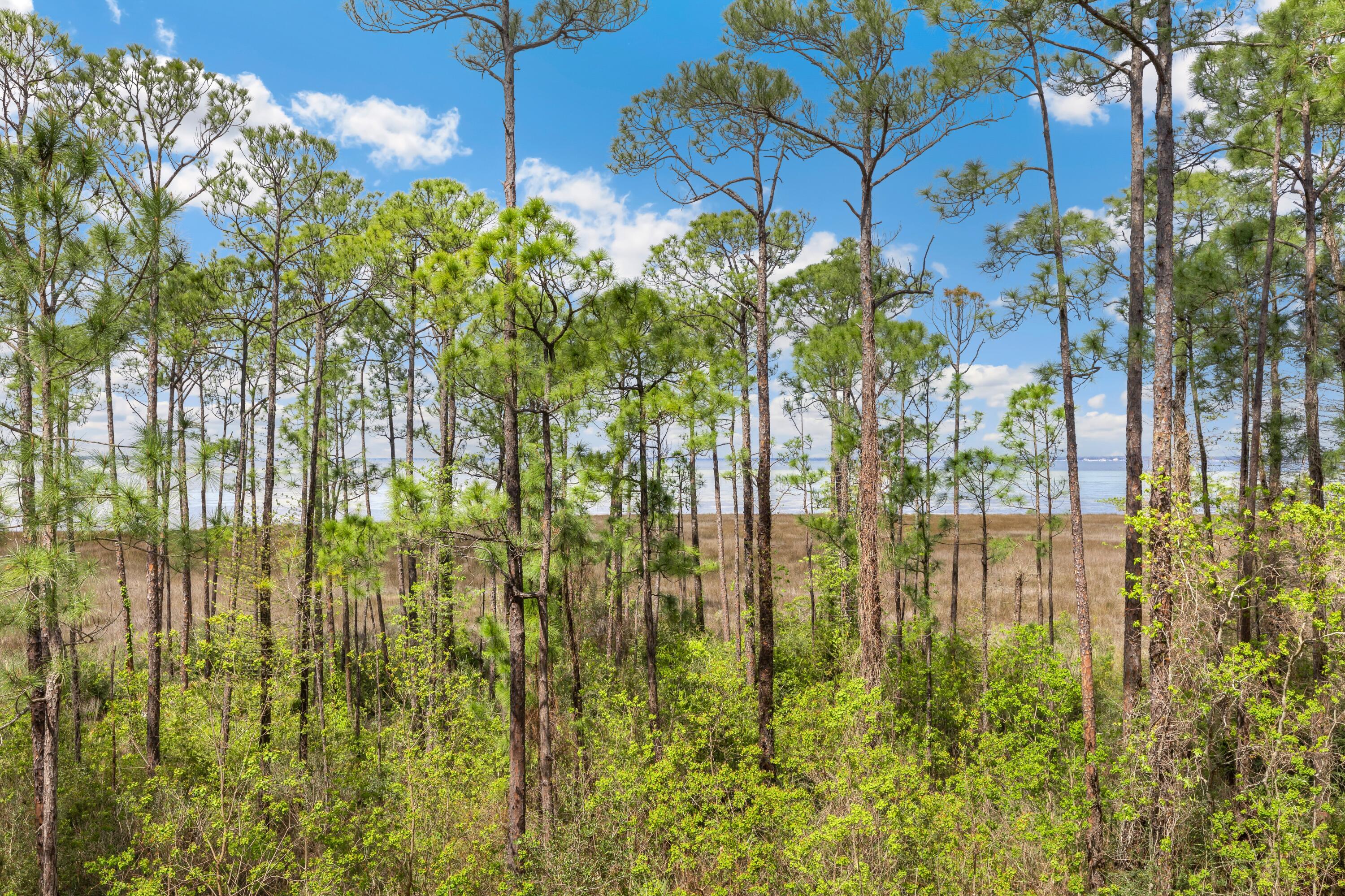 BAHIA CONDO - Residential