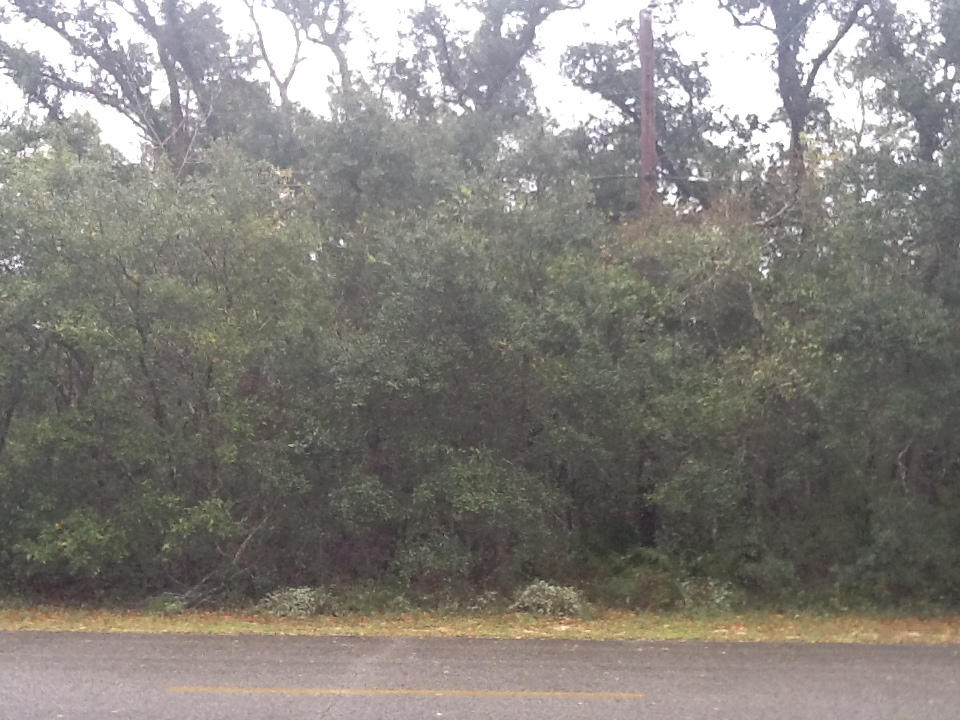 Woodland Shores - Land