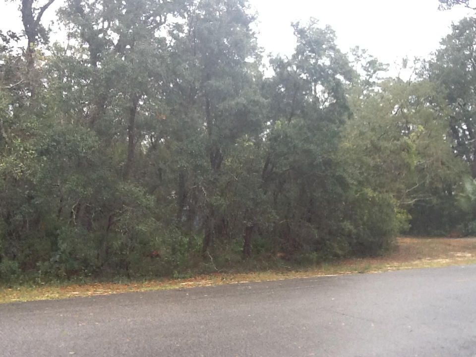 Woodland Shores - Land