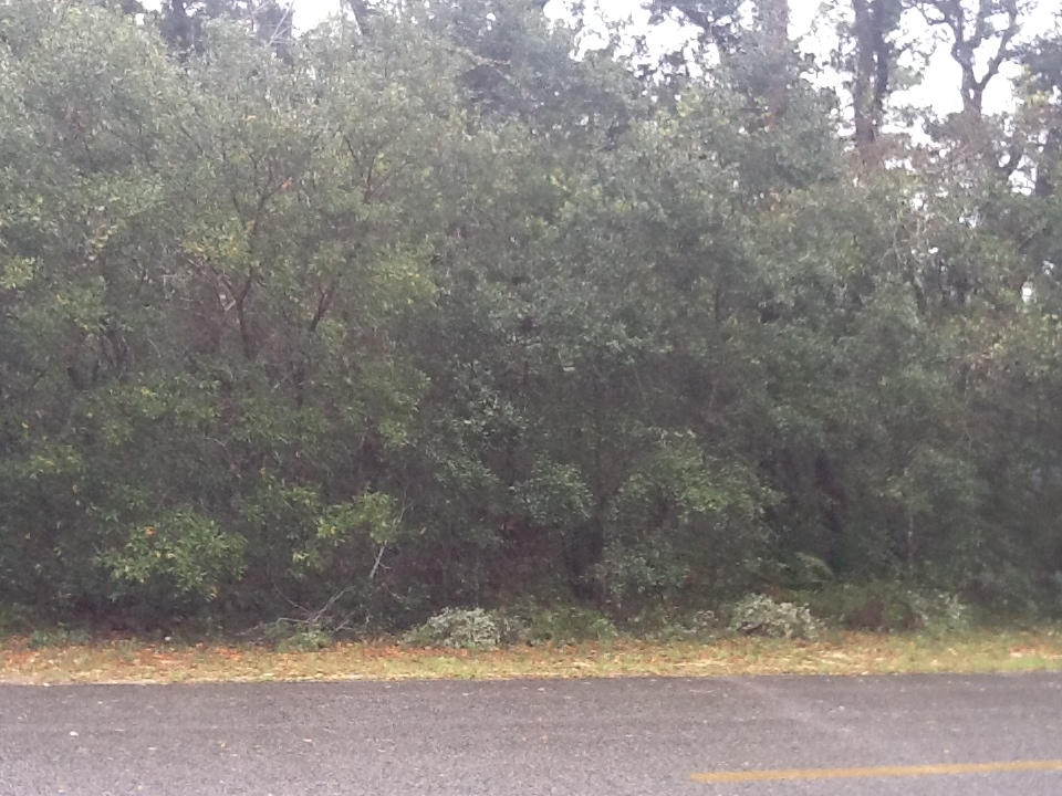 Woodland Shores - Land