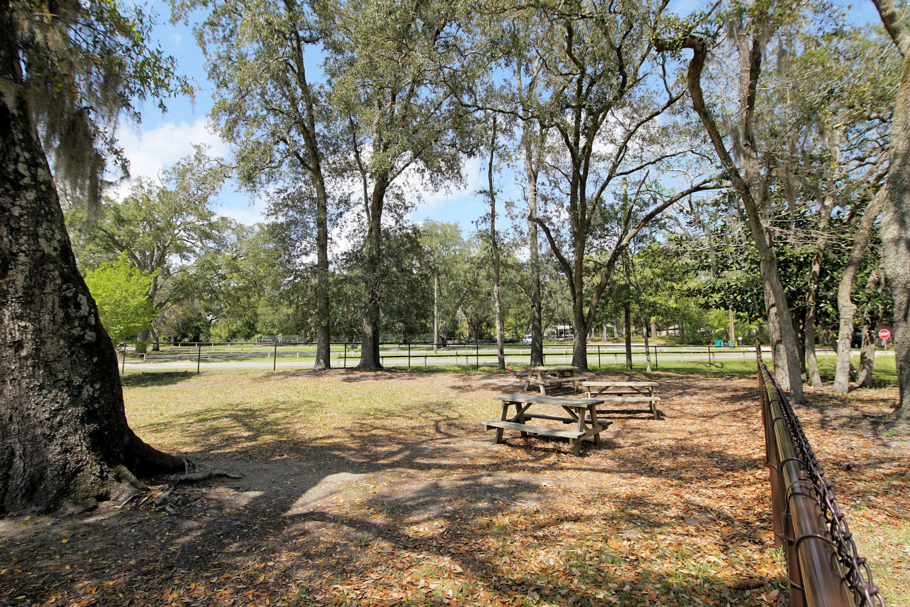 BUSEY'S PLACE - Residential