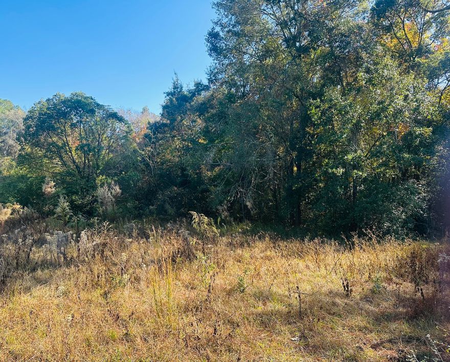 Build your dream home on this rare in-town lot, tucked inside an established neighborhood that truly feels like home. You'll enjoy the perfect blend of peace and convenience, close enough to shopping, dining, schools, and everyday essentials that you can be anywhere you need to be in just minutes, yet still surrounded by the comfort of a settled community. Whether you're envisioning a cozy retreat or a spacious family home, this property offers the ideal canvas to bring your vision to life in a location that supports both comfort and convenience.