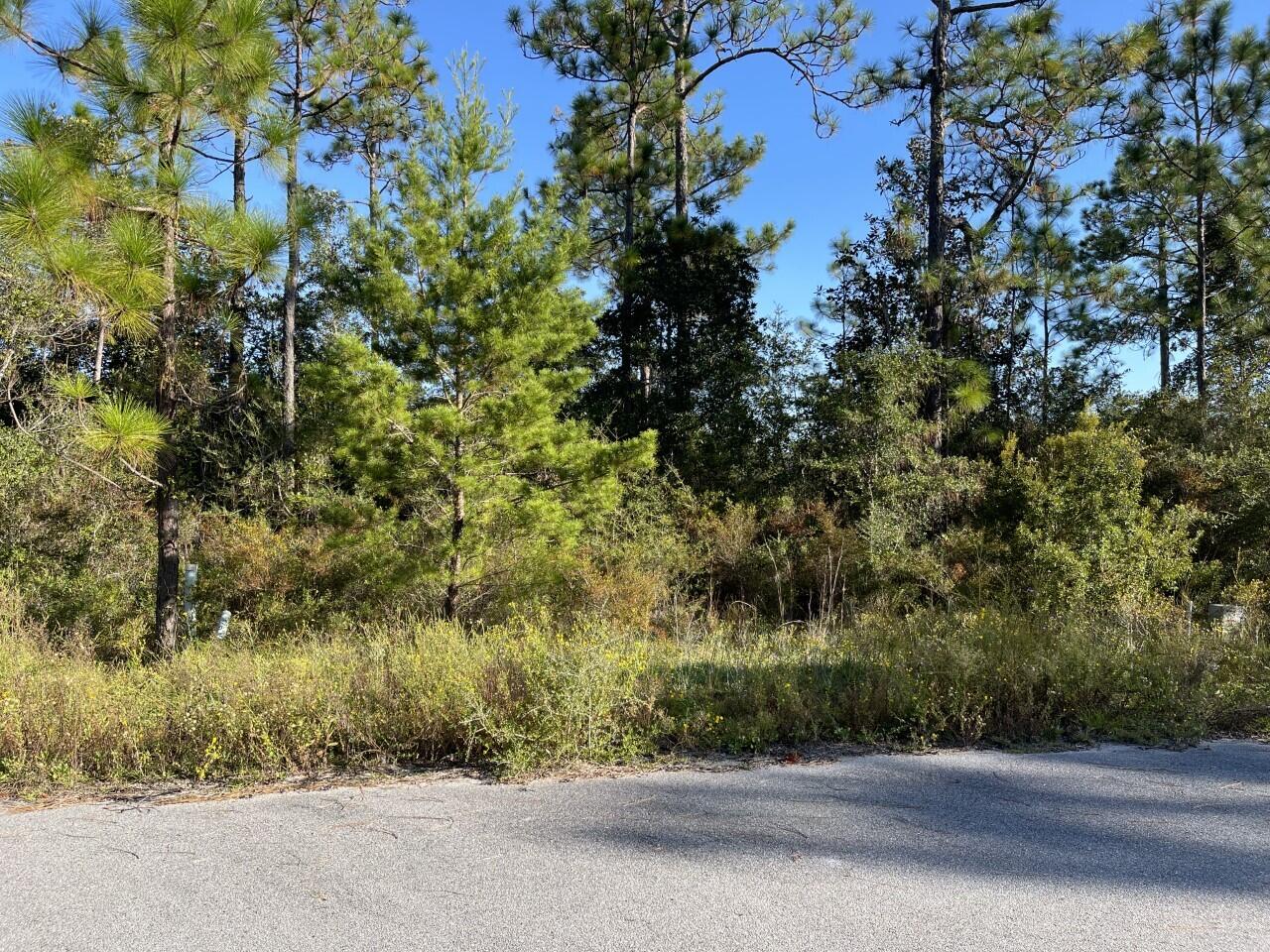 PALMETTO PLACE PH 2 - Land