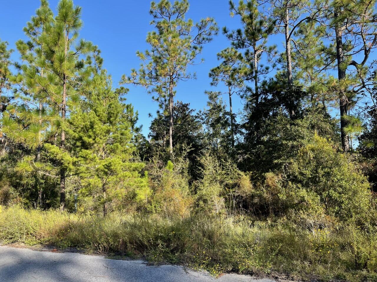 PALMETTO PLACE PH 2 - Land