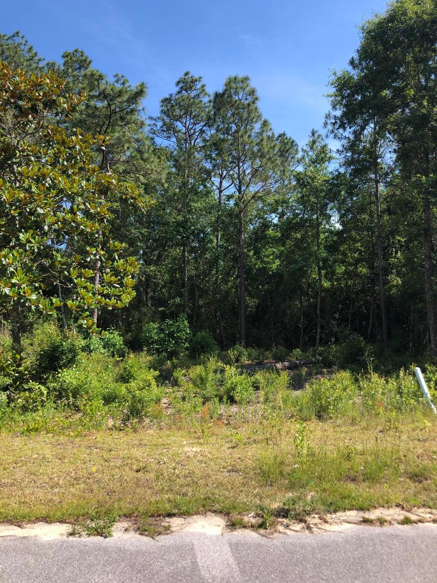 Looking to build? Here is your lovely wooded lot ready and waiting on you to build your dream home!! TAP fees are paid!! Lot located on a paved road within 1-2 miles of all (3) Freeport schools as well as centrally located between Panama City Beach and Fort Walton Beach FL. You will love this small community tucked away in the quaint little town of Freeport FL with close proximity to Florida's Sandy White Beaches of the Gulf Coast, Choctawhatchee Bay as well as (3) Florida springs. Restrictions apply. No HOA. No mobile homes allowed. Flood Zone X (1/10). Walton Co GIS Mapping shows no wetlands. All information is deemed to be accurate. Buyers are responsible to verify all information.