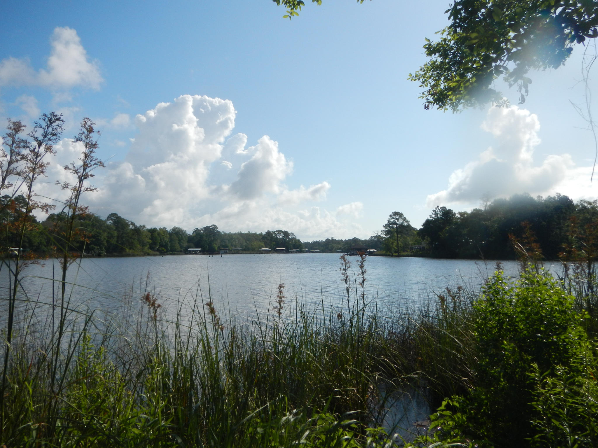 Very scenic waterfront lot in Freeport. This lot offers deep, protected water front on Mallet Bayou. It is a quiet but developing area that provides easy access to Destin and Panama City shopping and amenities. This lot offers access to all the water sports offered in the area including boating, fishing, skiing, kayaking, swimming and a very pretty view of the bayou. This lot is in the X flood zone towards Bay Grove Rd gently sloping to the AE Flood Zone for the majority of the remaining lot towards the bay. Mallet Bayou empties into Lagrange Bayou, which in turn has a very deep shipping channel out to Choctawhatchee Bay. From Choctawhatchee by you will have unrestricted water access to San Destin and Panama City.