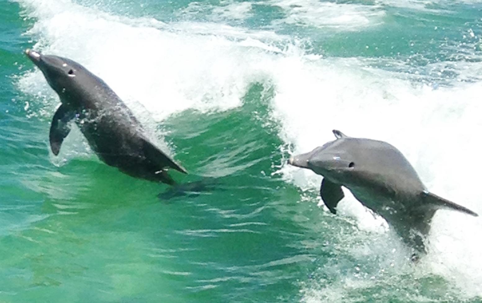 BEL-AIR S/D - Residential