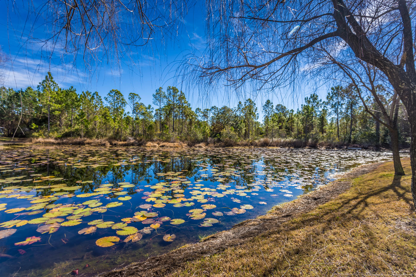 EAGLE BAY - Residential Lease