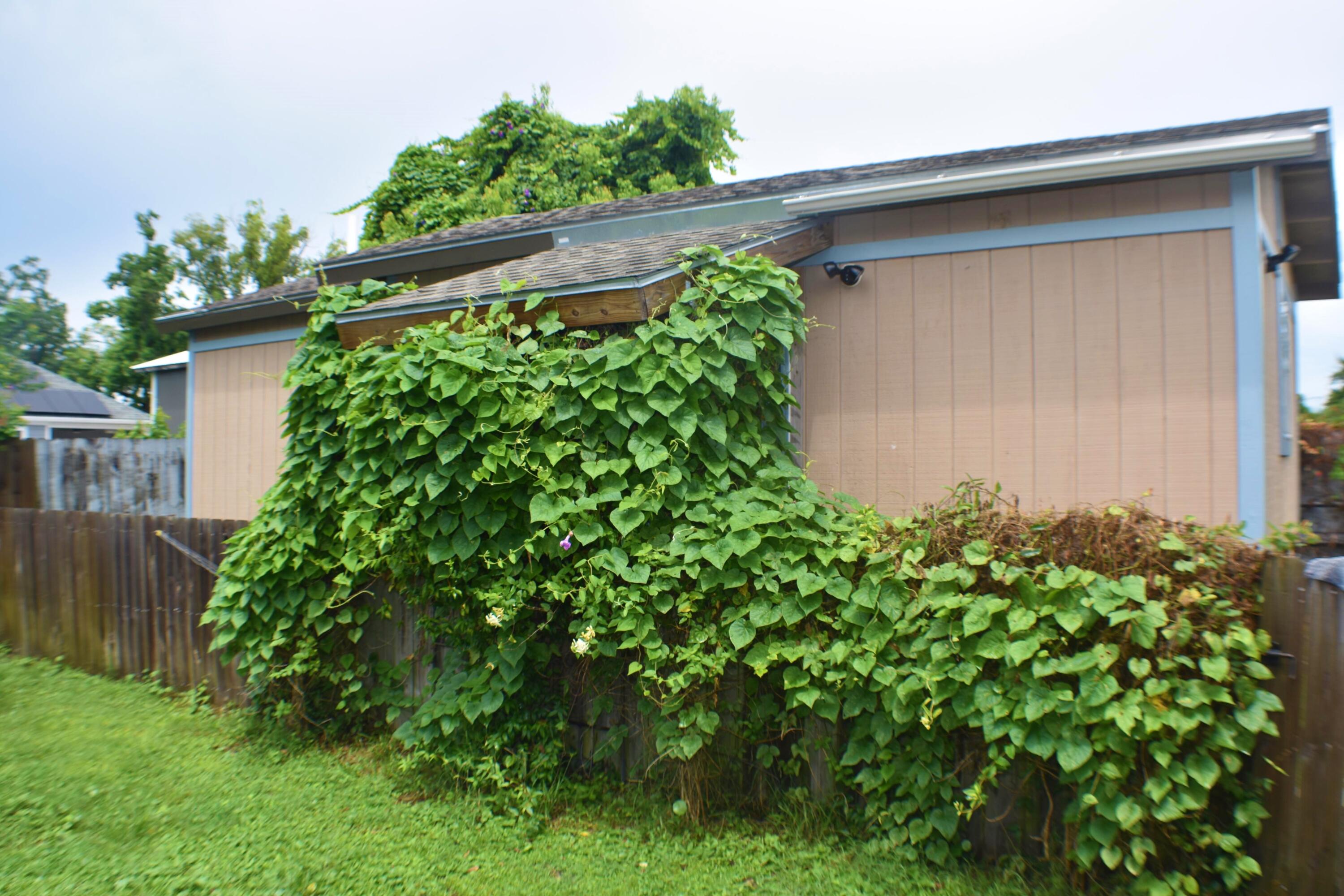 BAYVIEW HEIGHTS - Residential