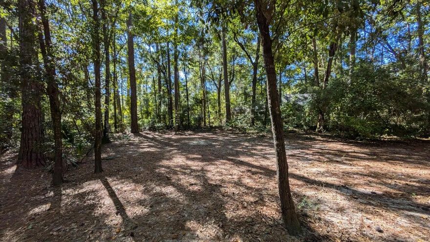 Beautiful and private 1 acre lot in Freeport FL.  Sits 200 yards to the boat ramp diagonal from the Outpost Restaurant.  it's 5 miles East from St Rd 331on 3280.  Deeded access to Black creek located 1 lot away behind the property.  Build your dream home or put a tiny home.  you choose!!