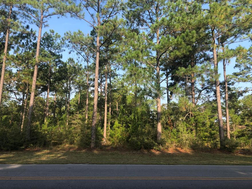 Come and see this great TWO acre lot located in Juniper Lake Estates and just down the road from the public access to Juniper Lake. Bring your offers!