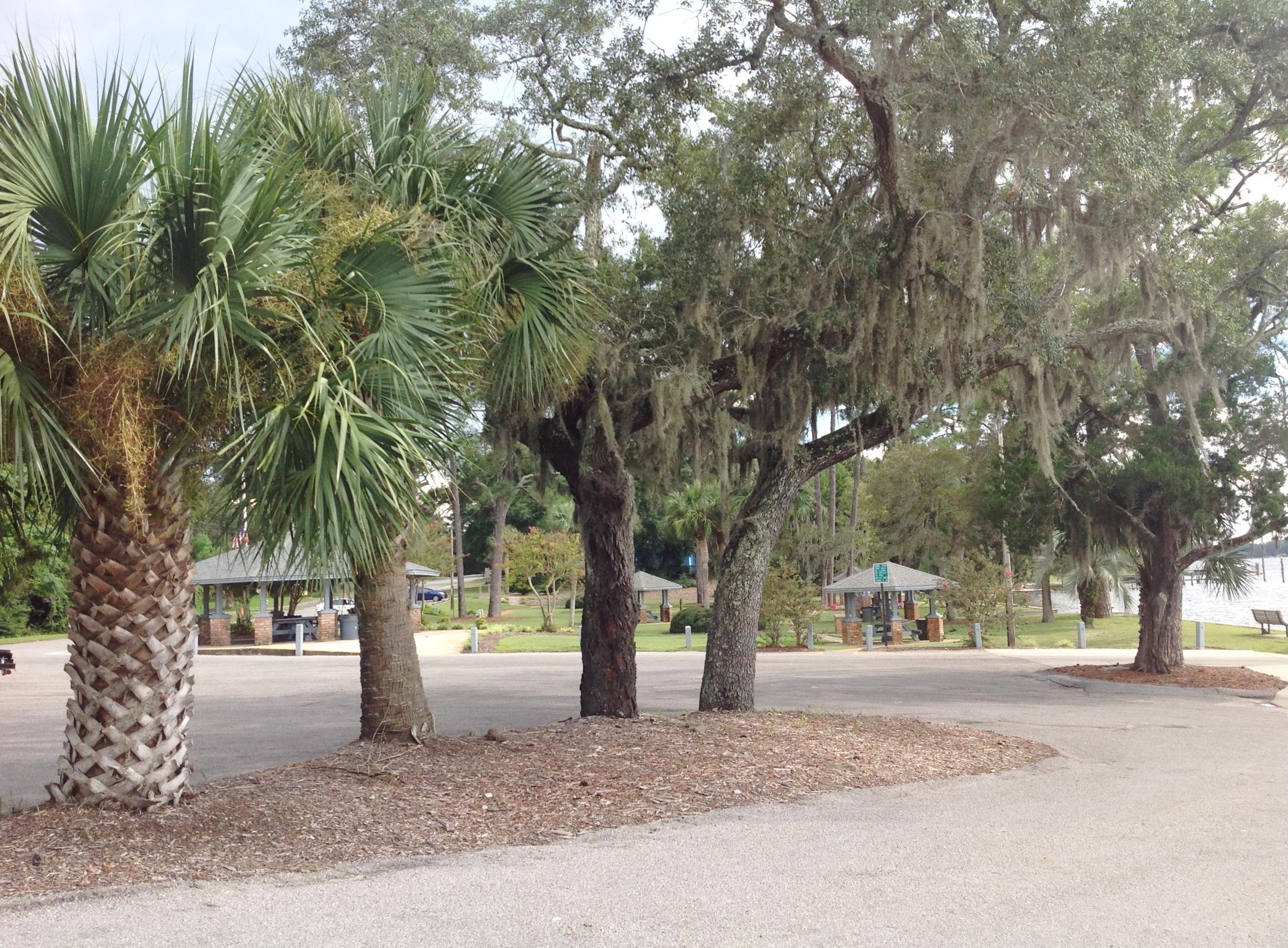 Busey's Place - Residential