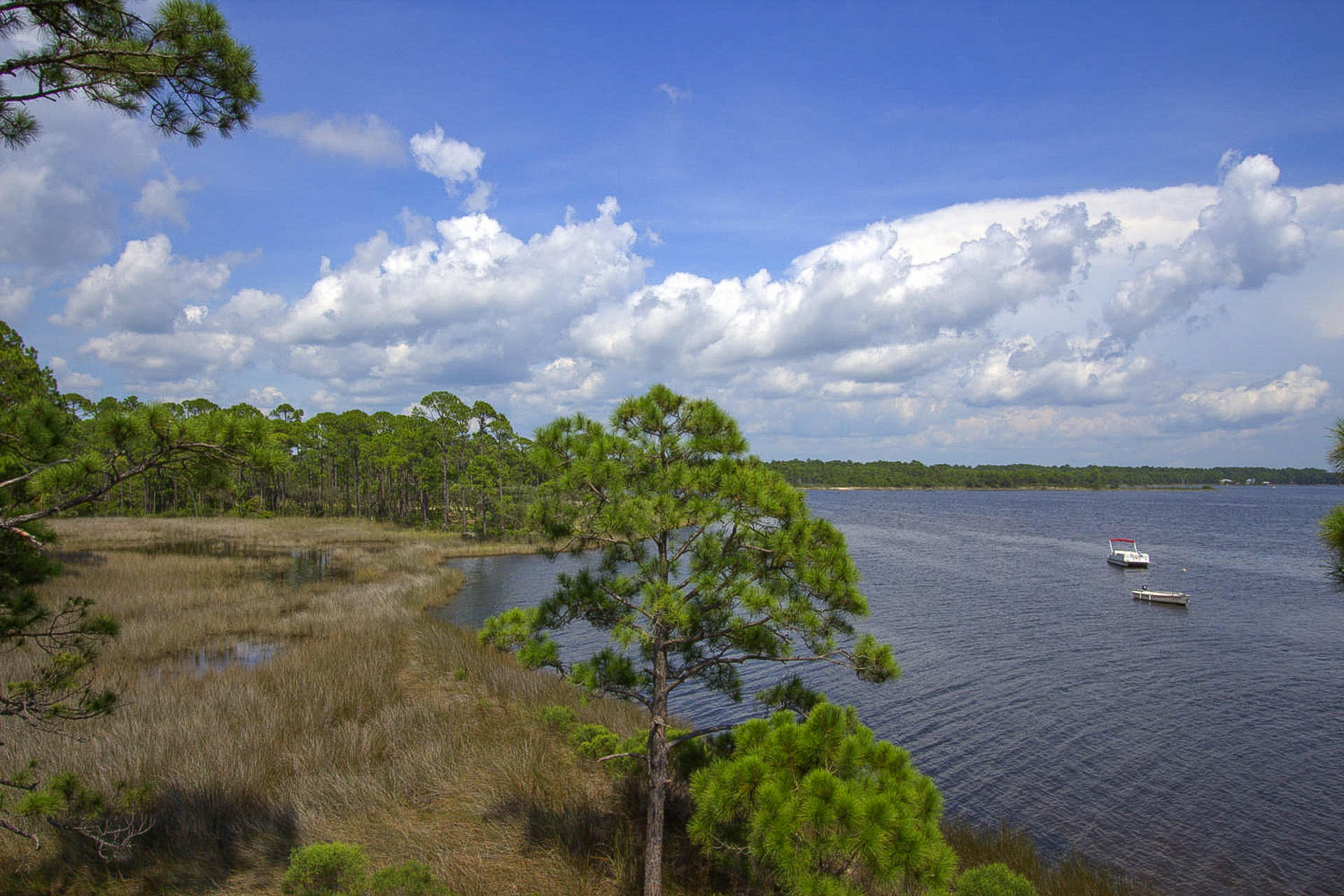 WILD HERON PHASE II - Land