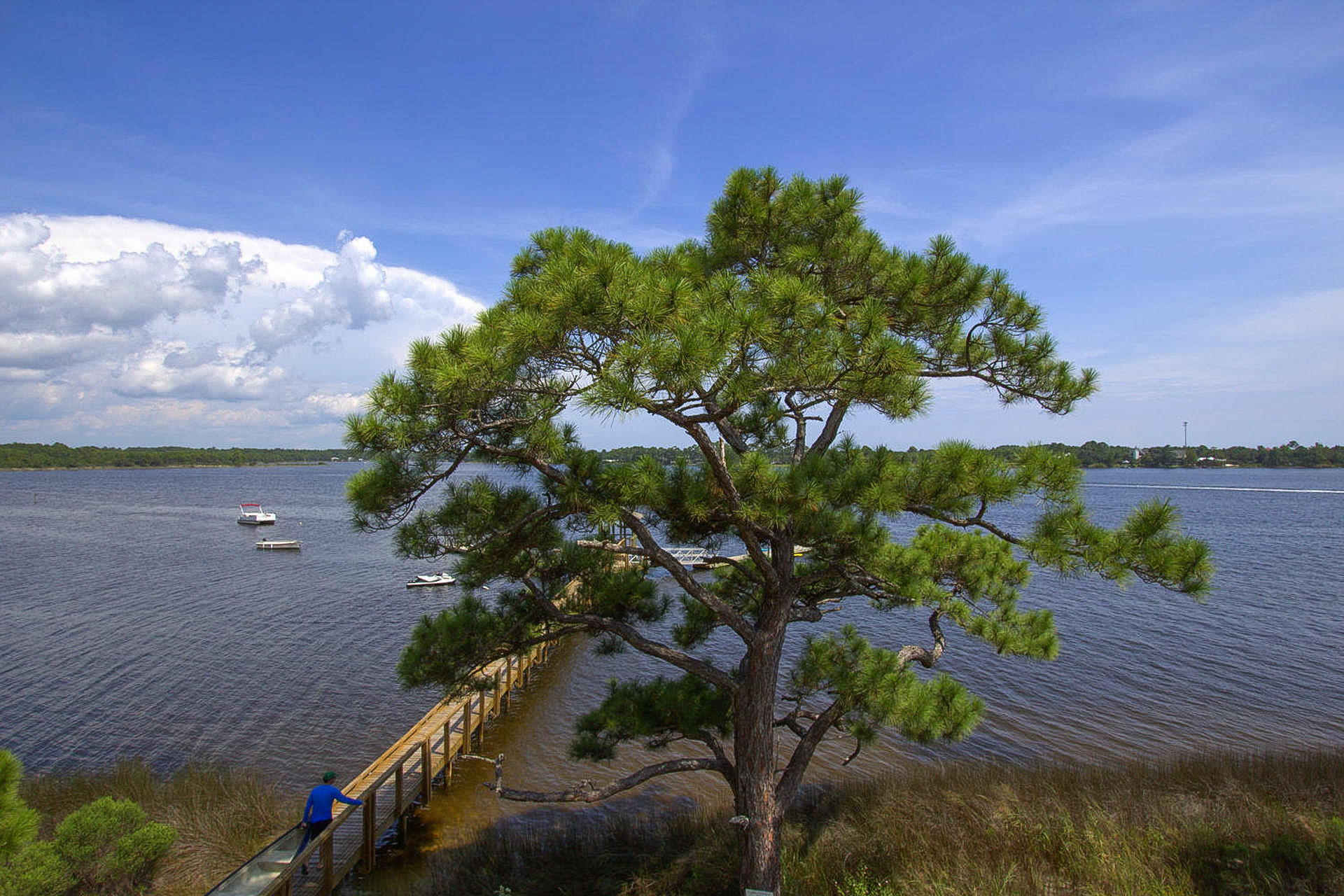 WILD HERON PHASE II - Land