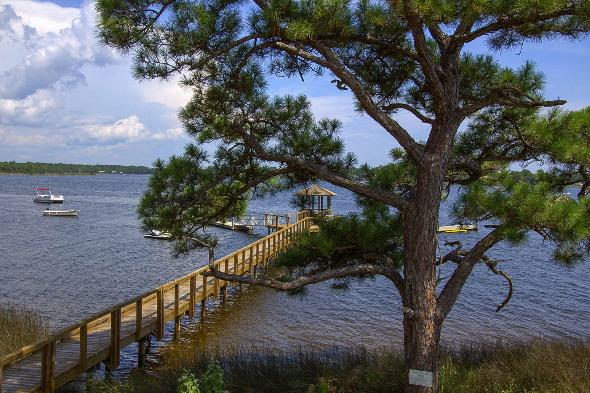 WILD HERON PHASE II - Land