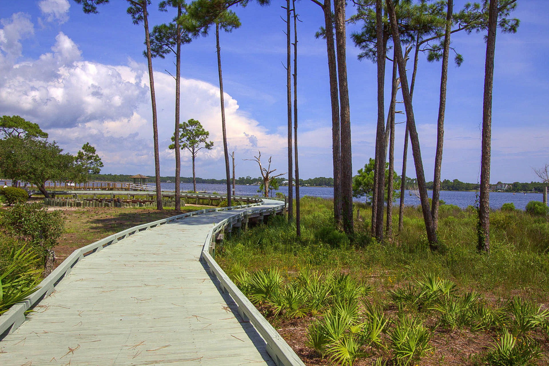 WILD HERON PHASE II - Land