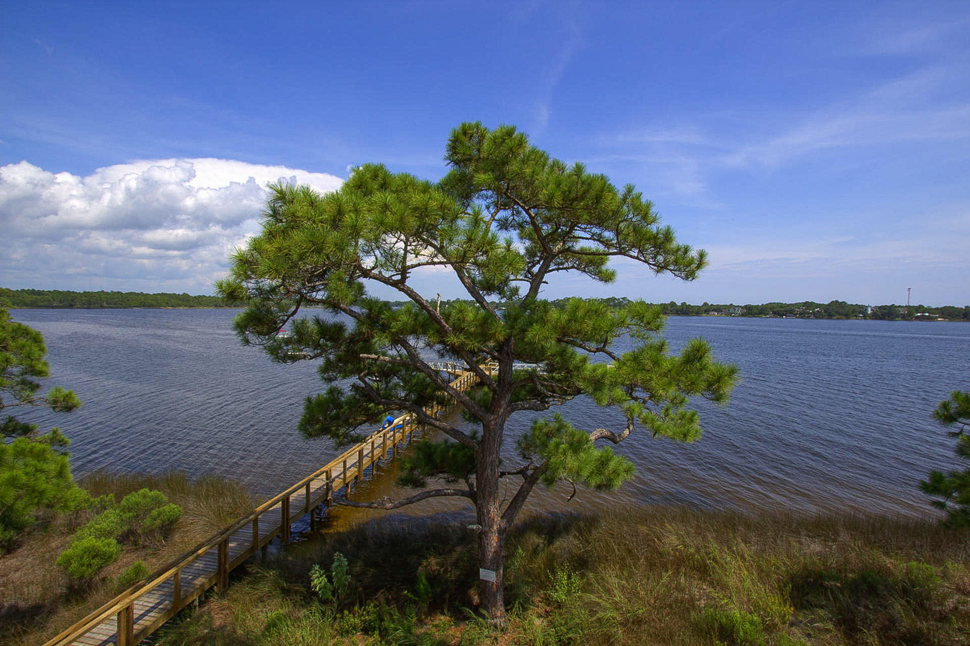 WILD HERON PHASE II - Land