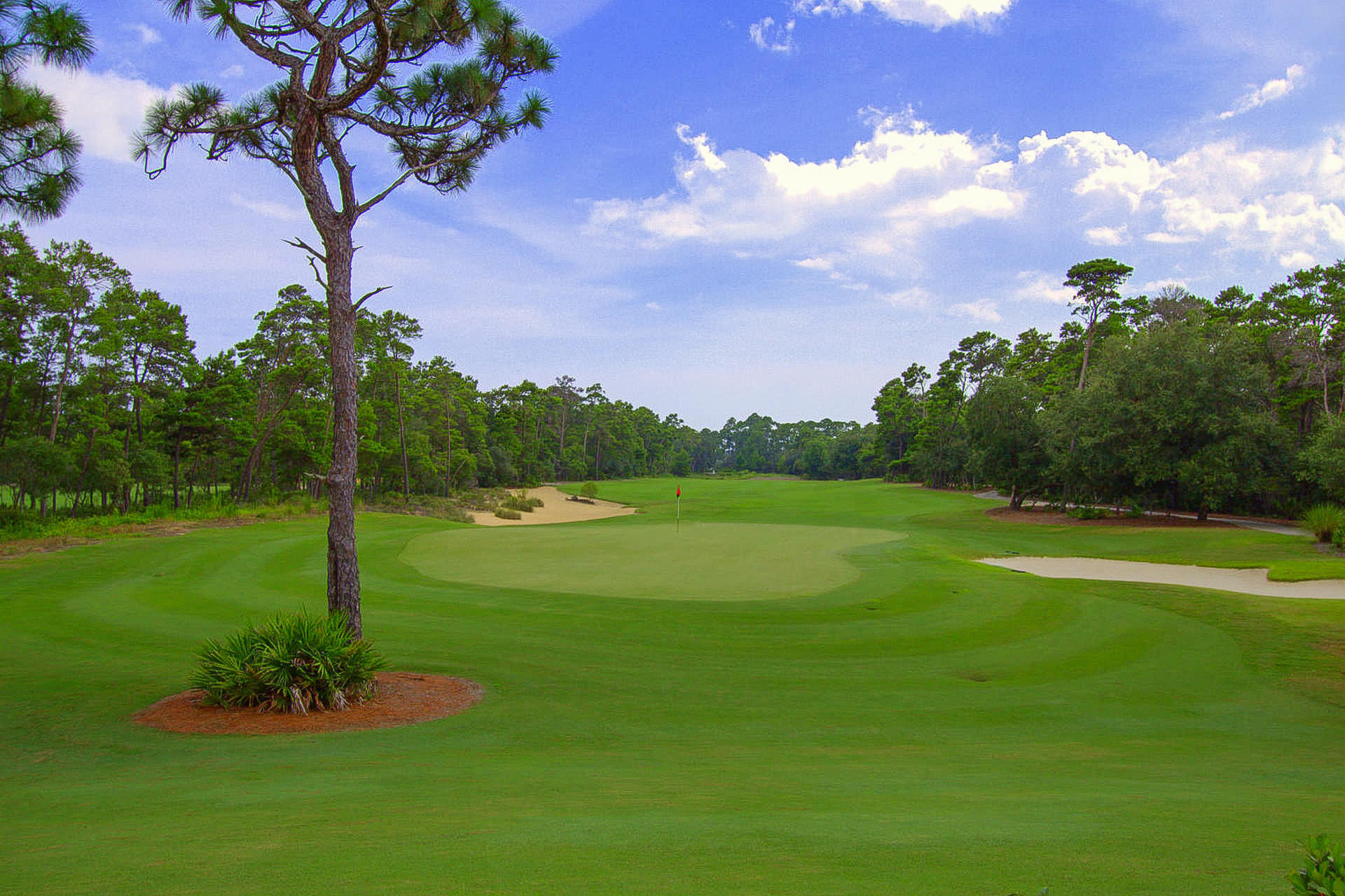 WILD HERON PHASE II - Land