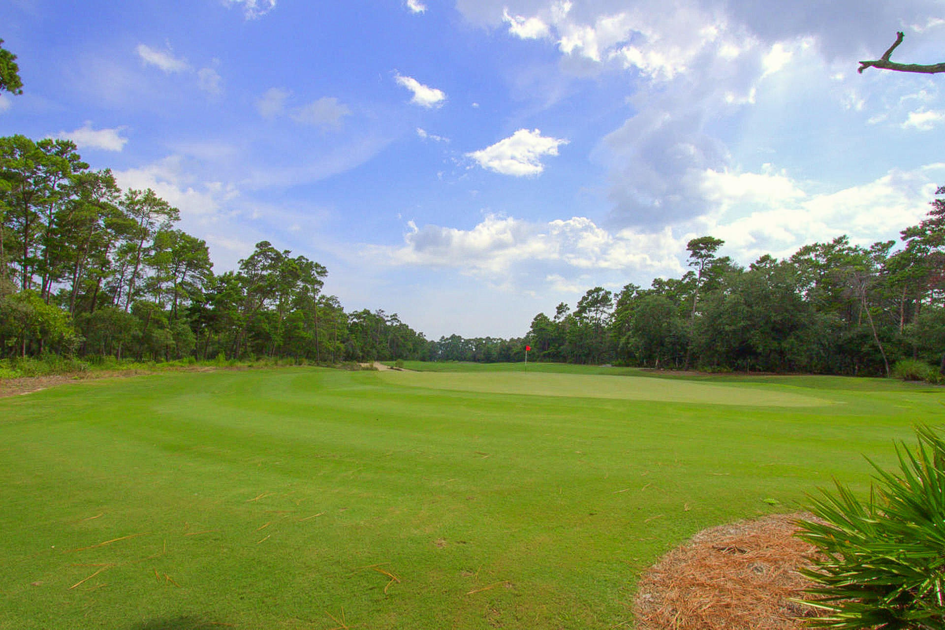 WILD HERON PHASE II - Land