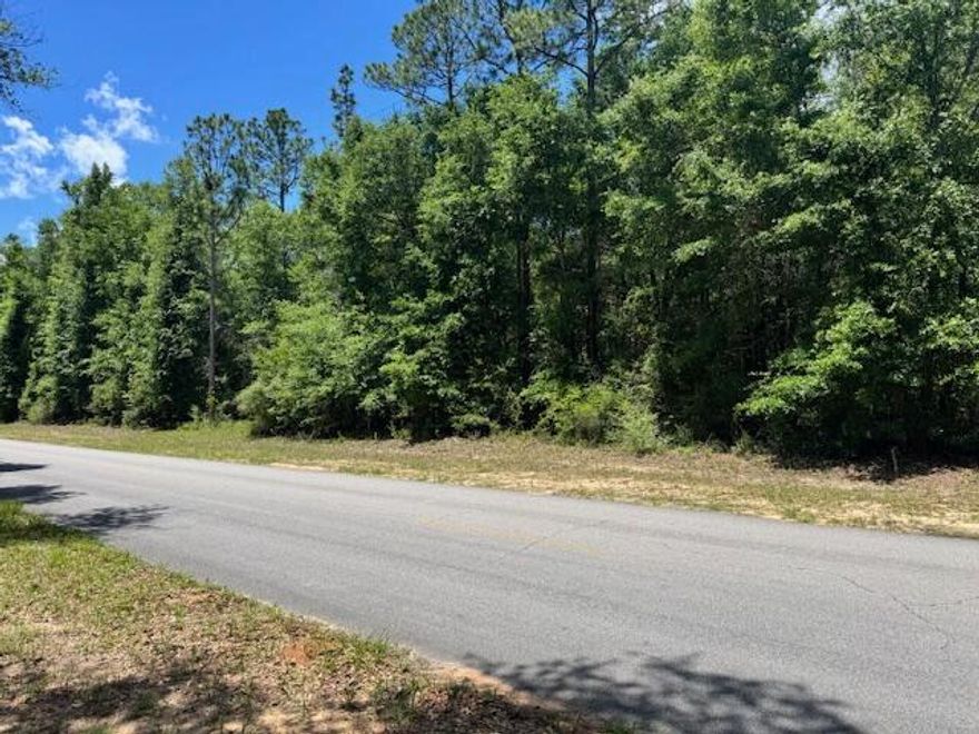 Endless Possibilities Await with this 8+/- Acres of Prime Potential. Dream it. Design it. Build it. This stunning 8+/- acre parcel offers a rare opportunity to create the homesite you've always envisioned. Tucked away in a peaceful setting, this expansive property is the perfect canvas for your custom dream home, family estate, or private retreat. Centrally located providing easy access to the interstate, local bases, beaches and shopping centers.With plenty of room to roam, you'll enjoy the freedom to bring your own floor plans, ideas, and inspiration to life. Whether you're looking for space to spread out, build a workshop, add a garden, or simply enjoy the quiet beauty of nature, this property offers it all.No HOA. No limits on imagination.