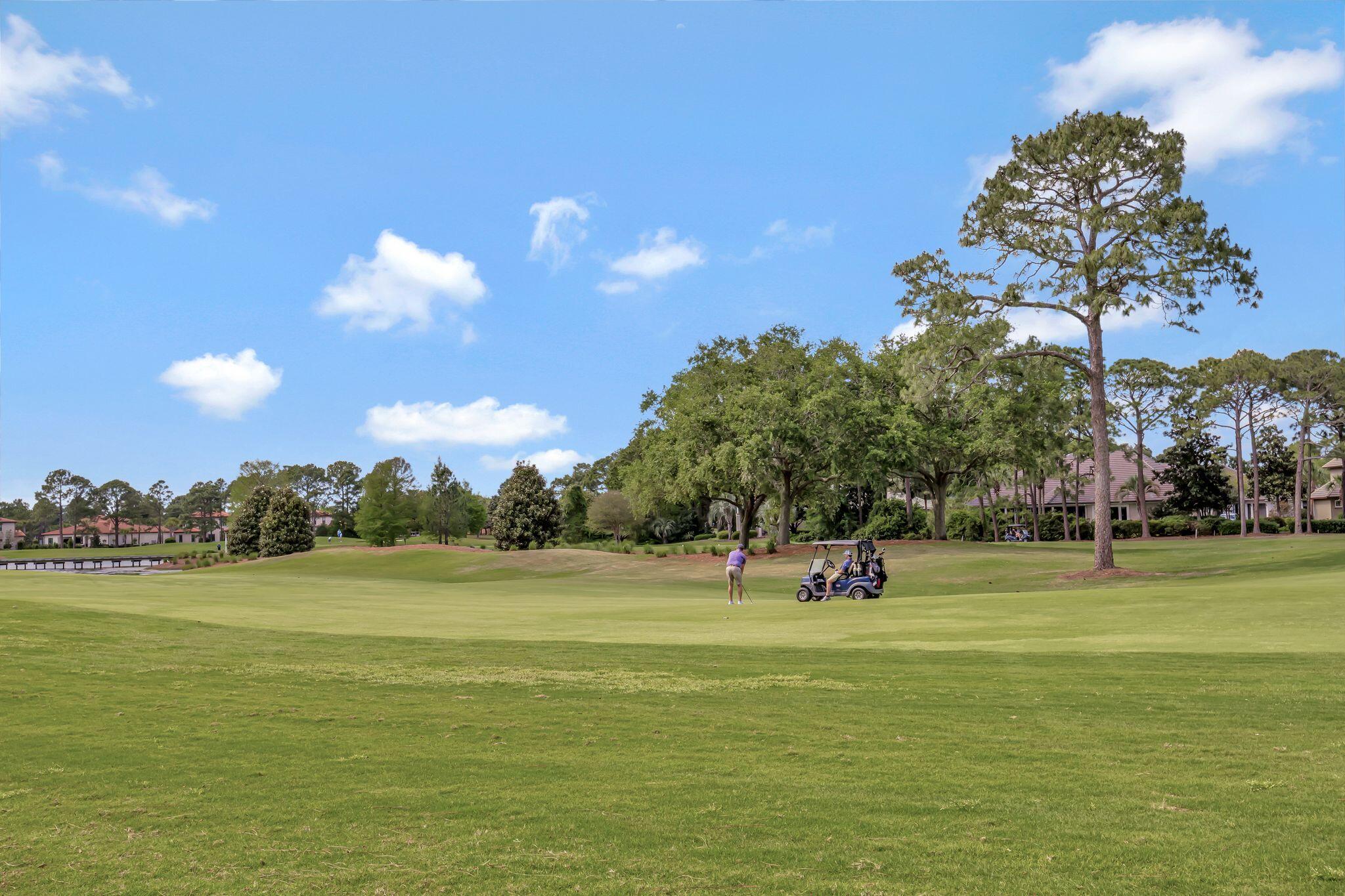 LAUREL GROVE - Residential