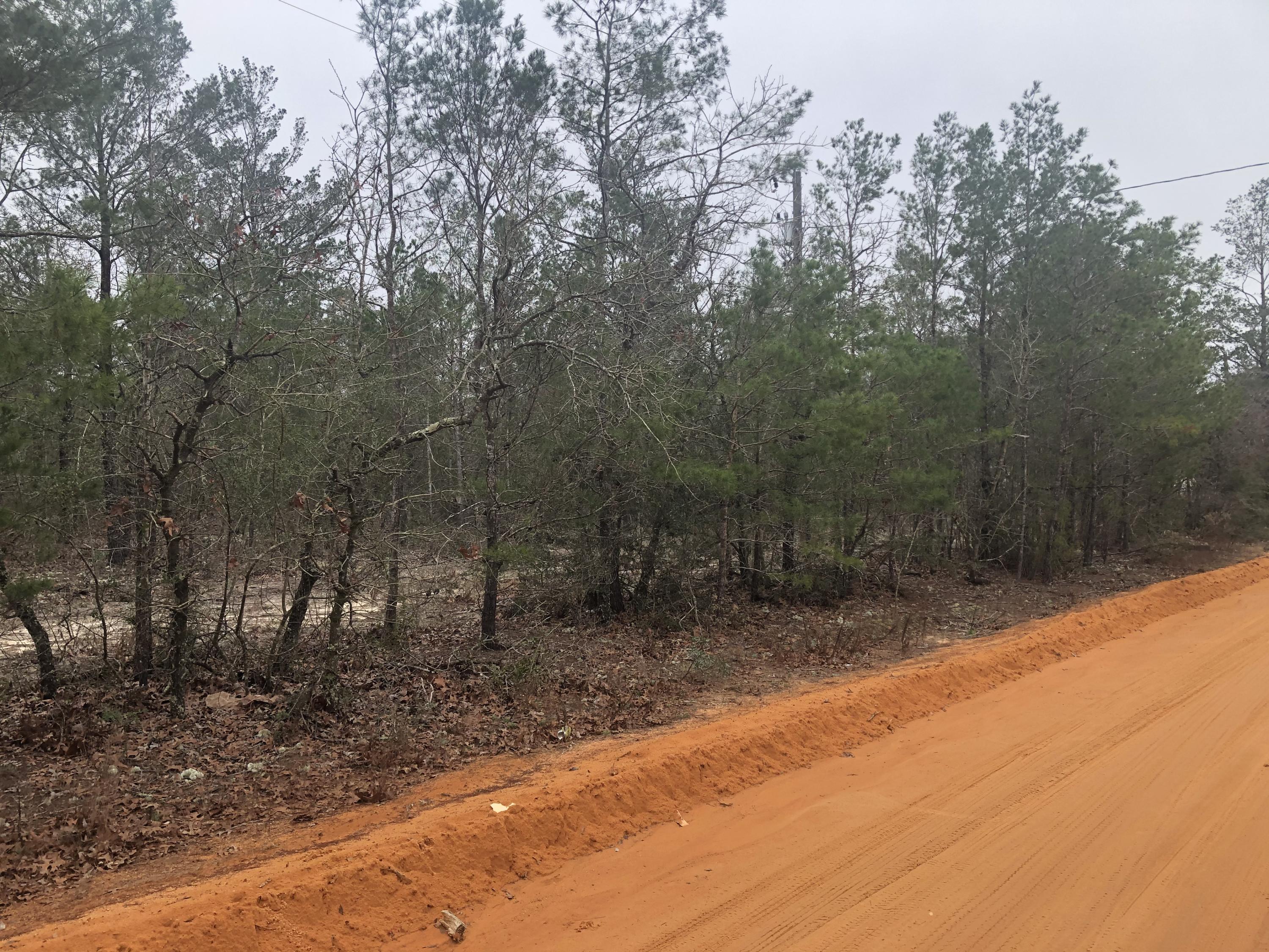 Beautiful wooded lot on County maintained Rd in a very quiet area of Oakwood Hills. Great location to make your new home.