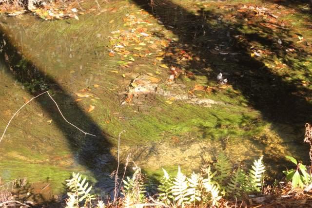 PINEDALE 1ST ADDN - Residential