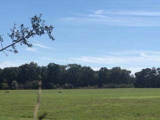 METES & BOUNDS - Farm