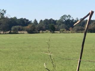 METES & BOUNDS - Farm