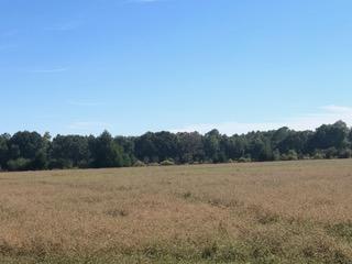 METES & BOUNDS - Farm