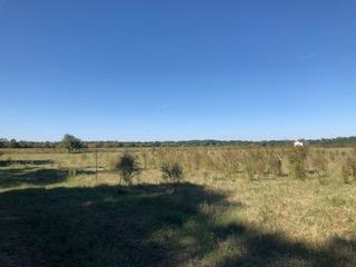 METES & BOUNDS - Farm