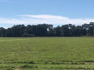 METES & BOUNDS - Farm