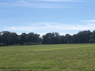 METES & BOUNDS - Farm