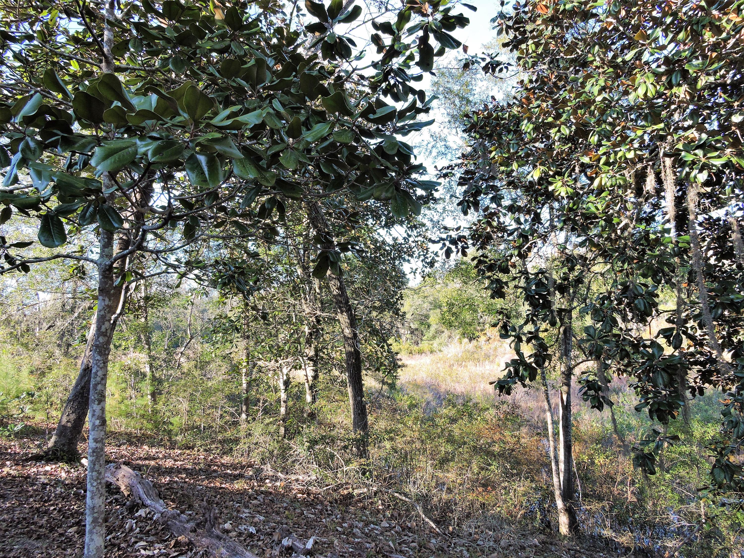 Choctaw Beach - Residential