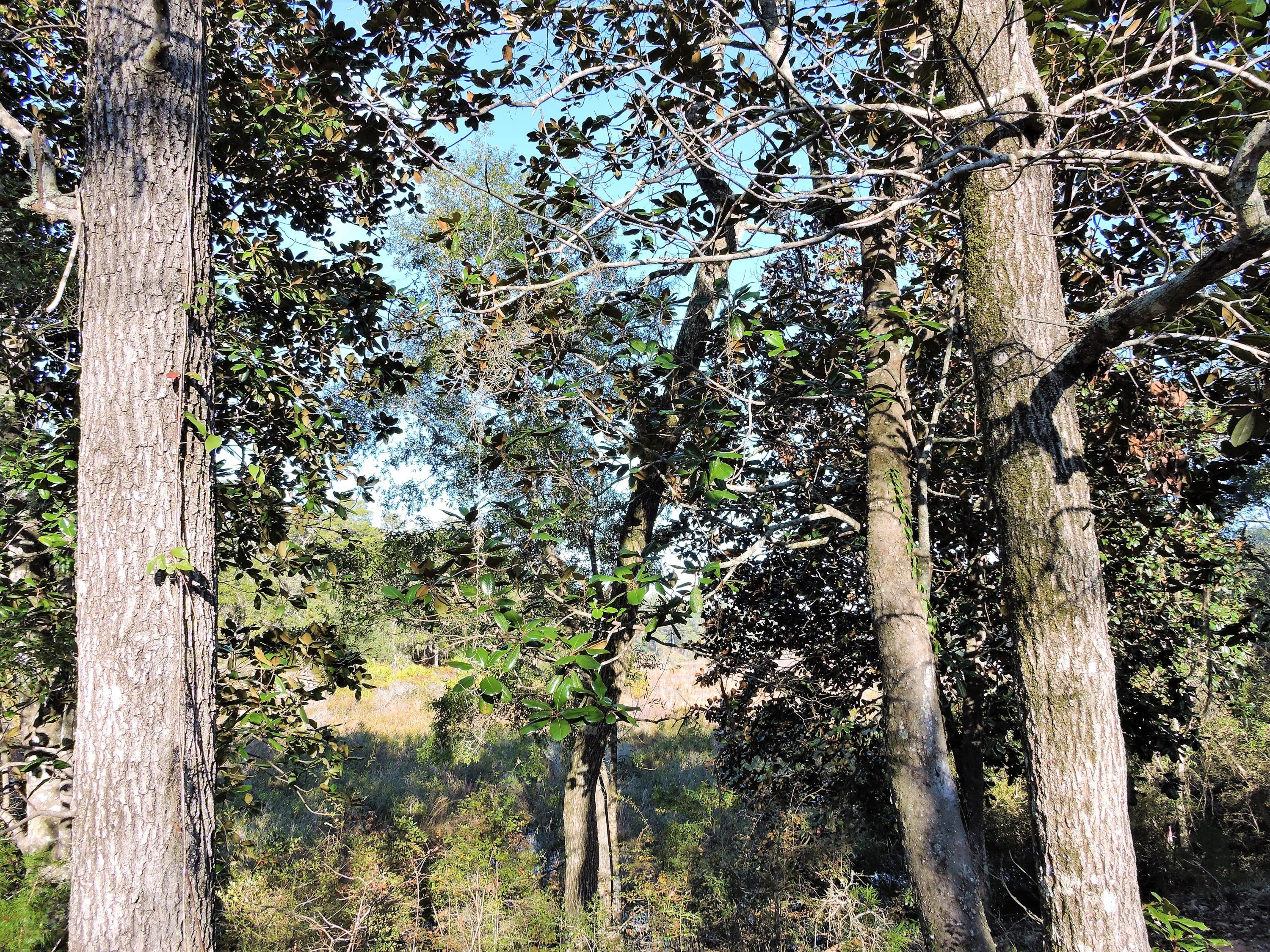 Choctaw Beach - Residential