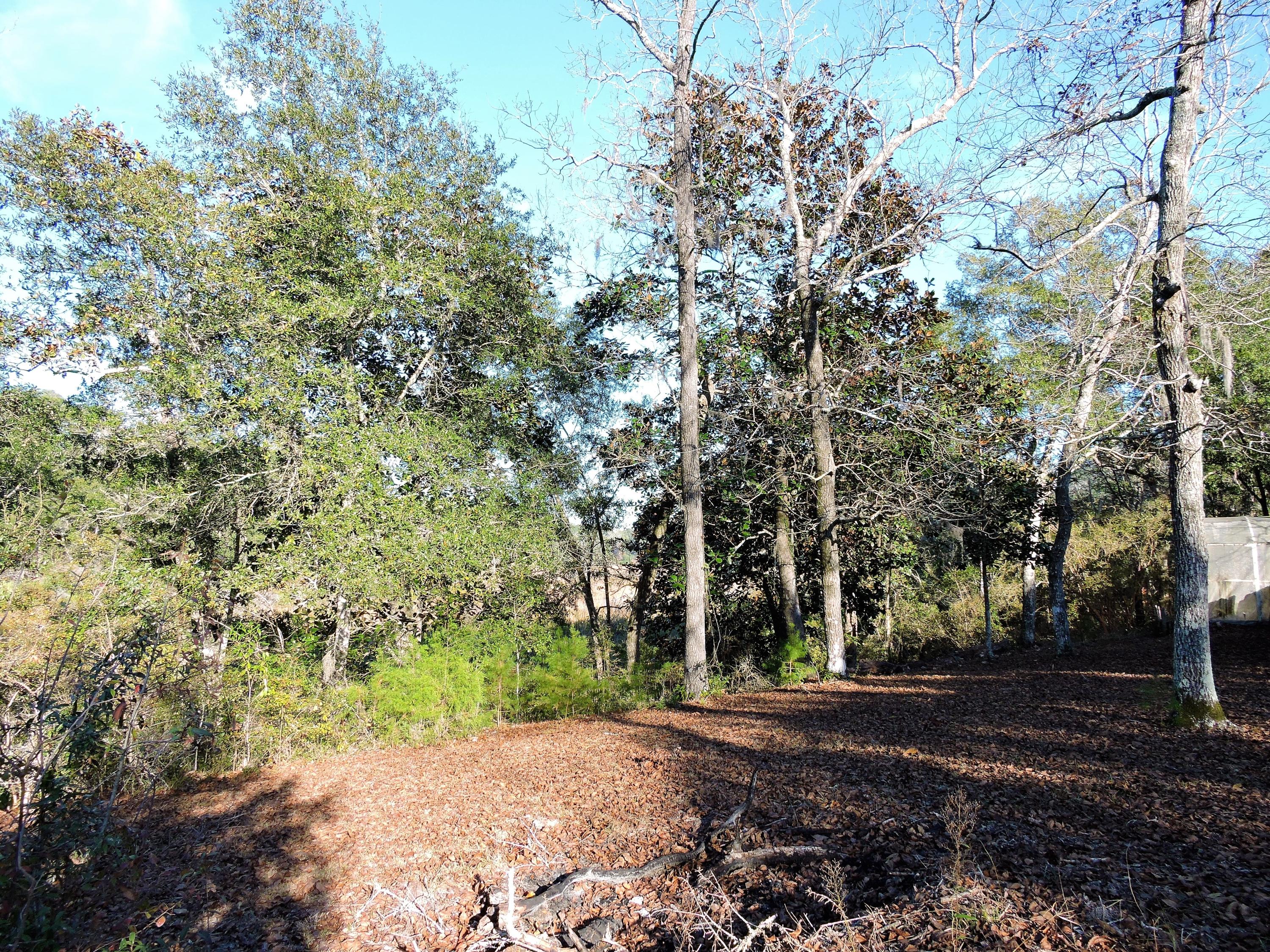 Choctaw Beach - Residential