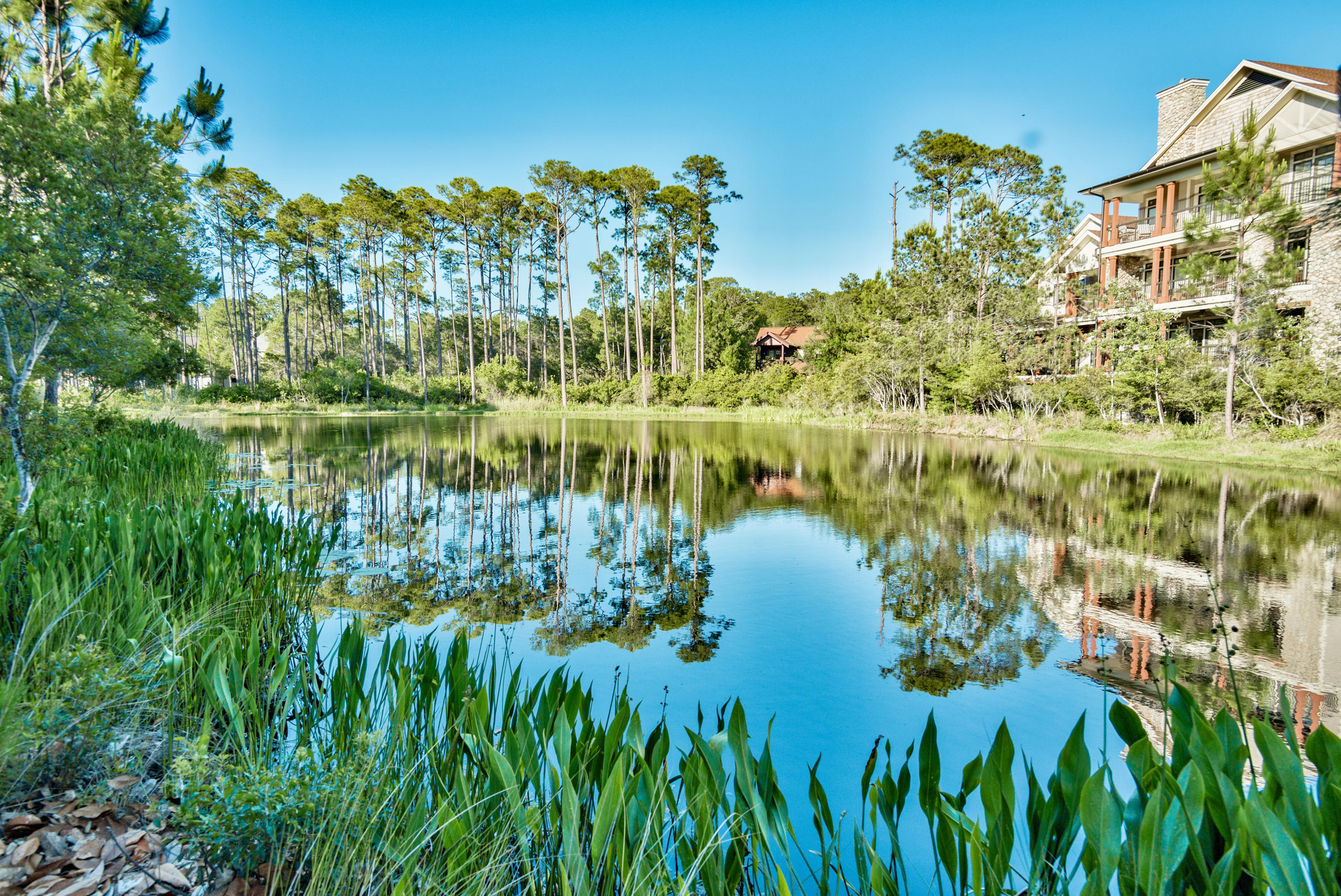 WILD HERON - Residential