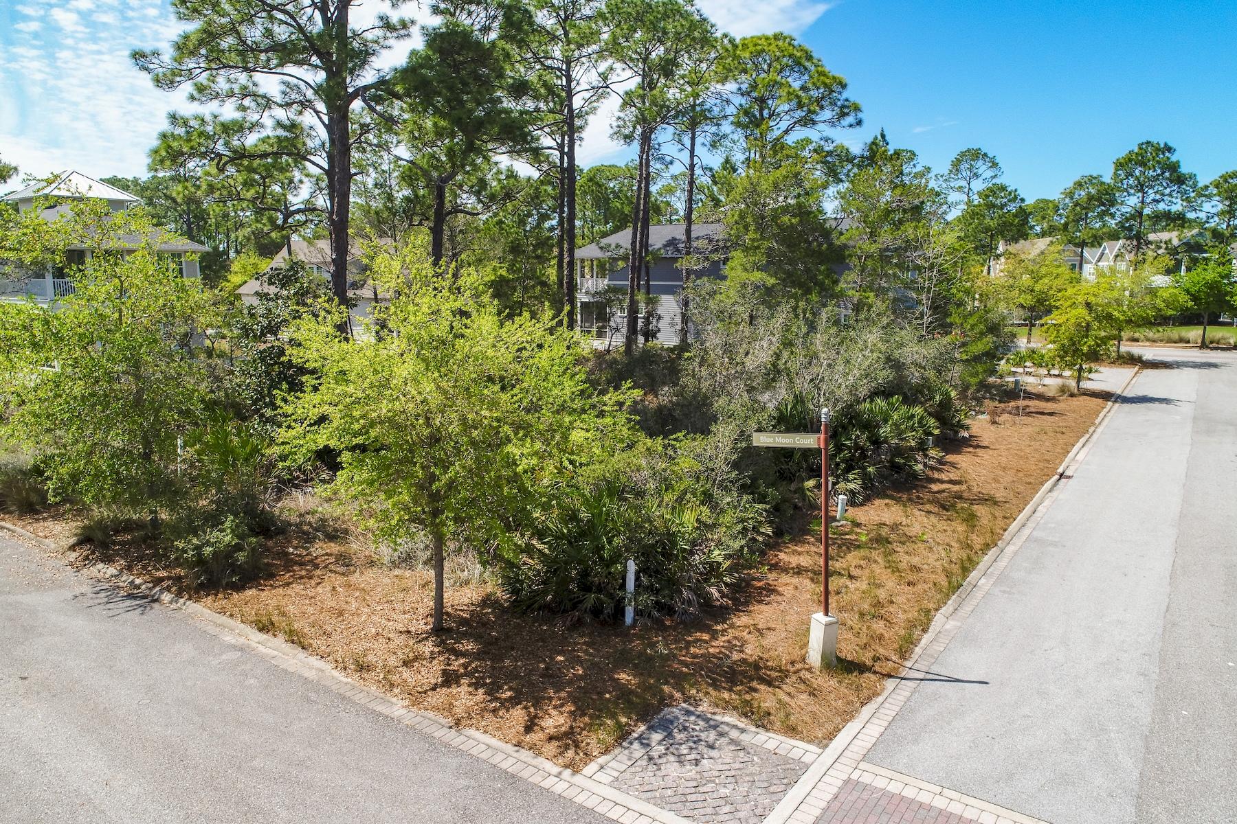 WATERSOUND WEST BEACH - Land