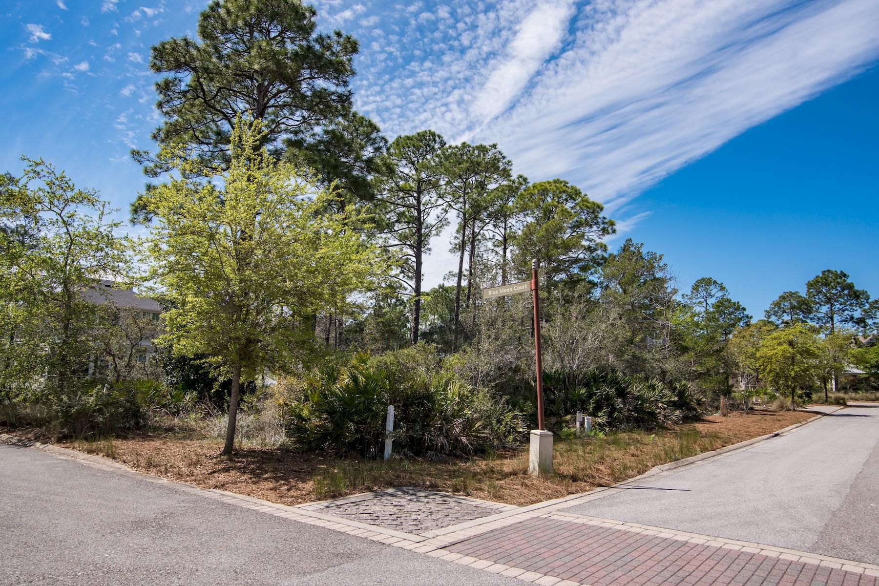 WATERSOUND WEST BEACH - Land