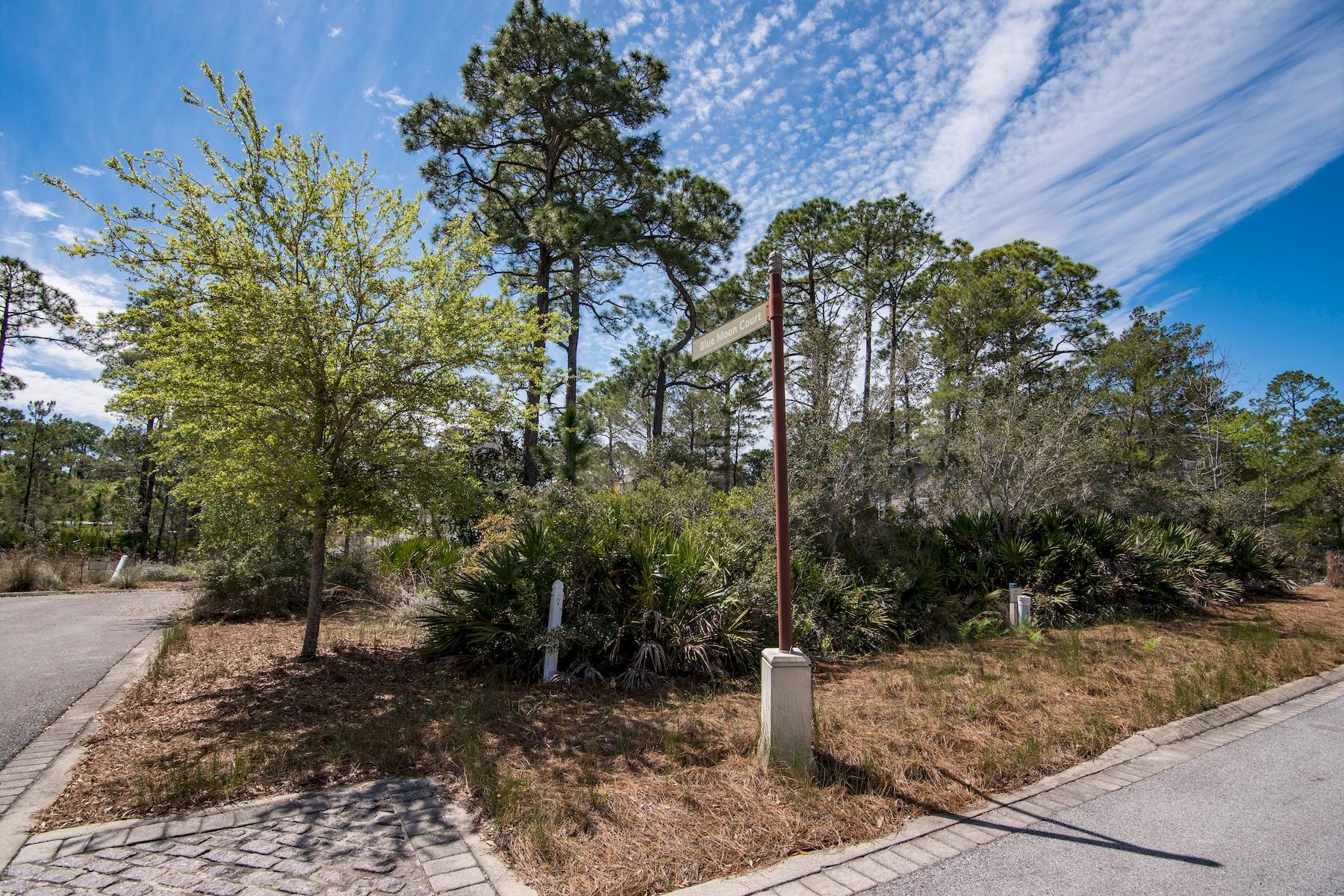 WATERSOUND WEST BEACH - Land