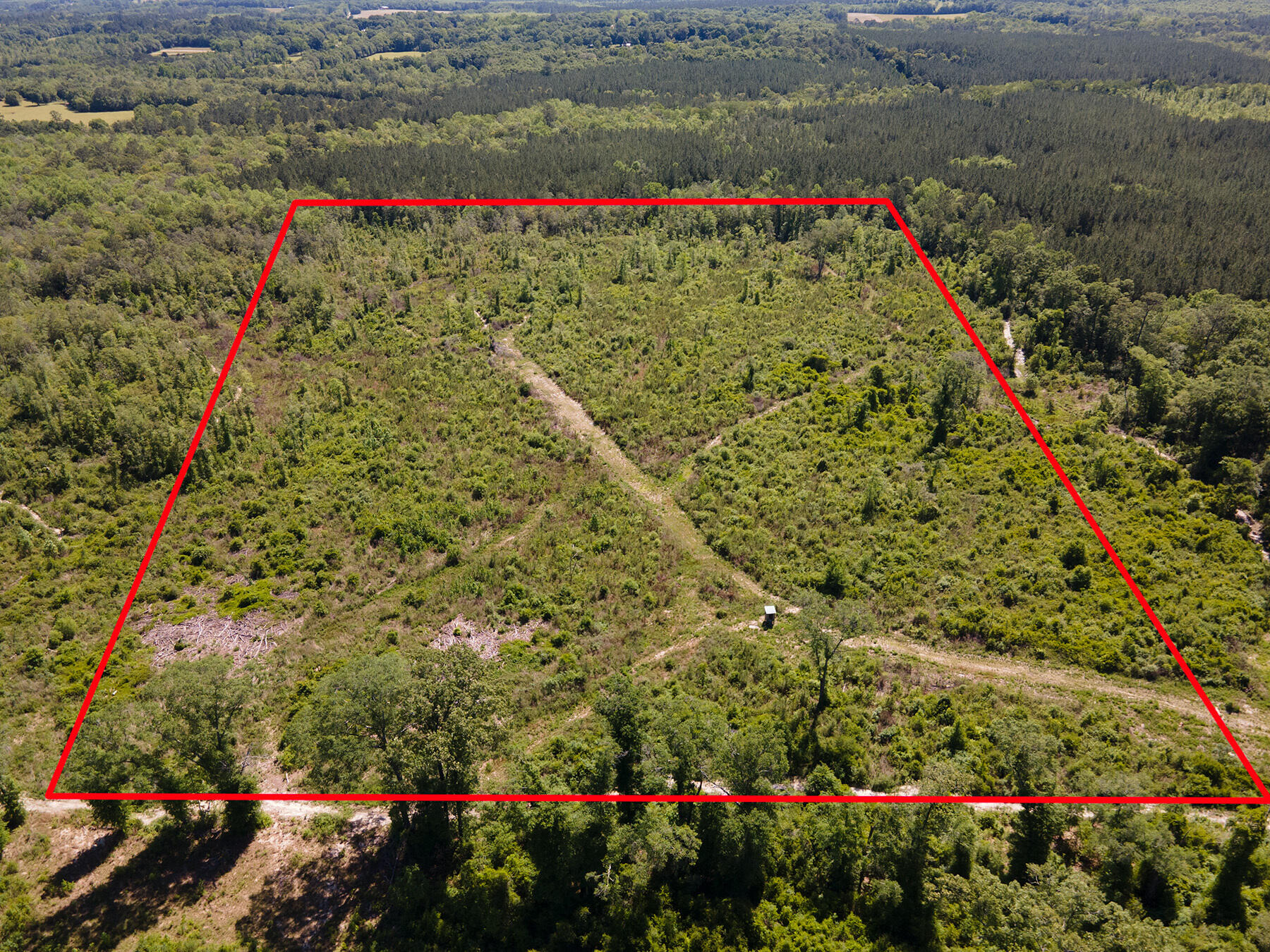 Great 40 acre tract in North Walton County! This acreage is private and has been cleared (clear cut). According to Walton County the zoning is General Agriculture and it is in an ''X'' Flood zone. There are no utilities on the property at this time. Electric is on Andrews Road. Access is by dedicated easement and road is in place. You would need a well and septic if you decide to build here. This is also excellent for a hunting/recreational parcel! NO HOA. Horses/live stock allowed here and you can also place a manufactured home here. There is a small creek on back of property. Call for your tour today!