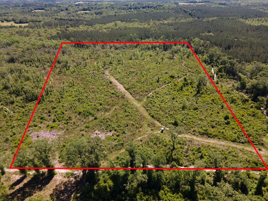 Great 40 acre tract in North Walton County! This acreage is private and has been cleared (clear cut). According to Walton County the zoning is General Agriculture and it is in an ''X'' Flood zone. There are no utilities on the property at this time. Electric is on Andrews Road. Access is by dedicated easement and road is in place. You would need a well and septic if you decide to build here. This is also excellent for a hunting/recreational parcel! NO HOA. Horses/live stock allowed here and you can also place a manufactured home here. There is a small creek on back of property. Call for your tour today!