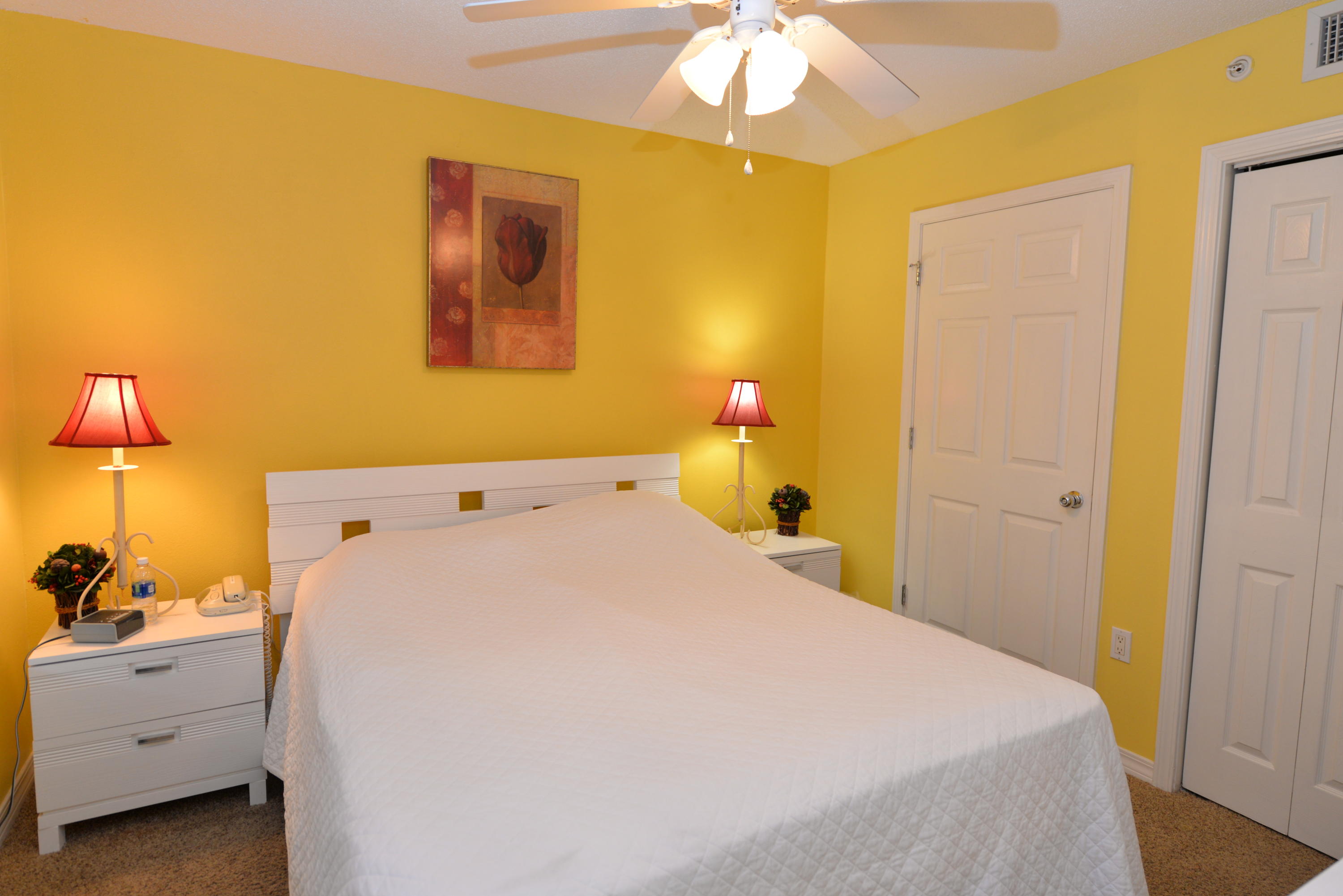 ISLAND PRINCESS - Residential