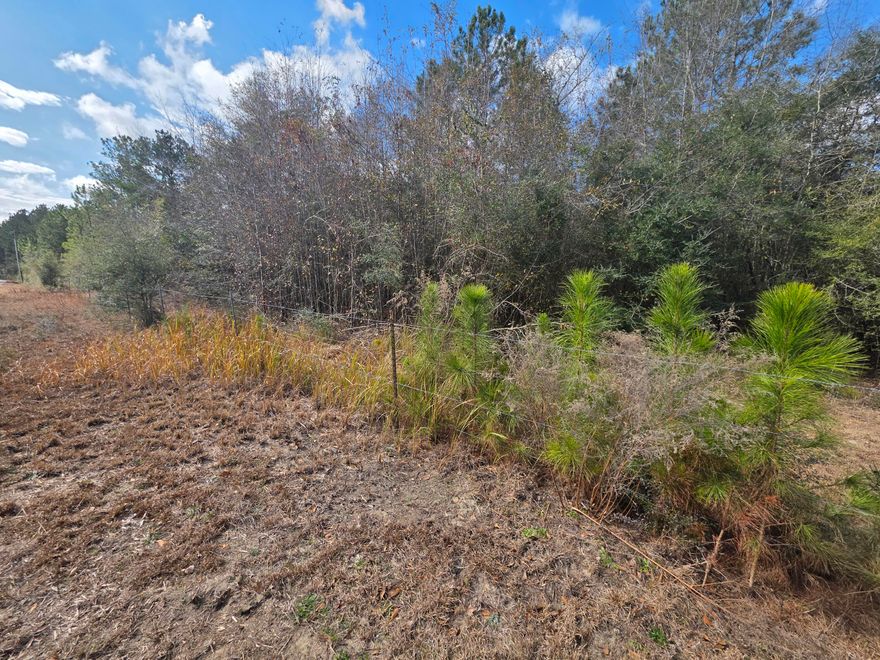 Discover the perfect blend of privacy, nature, and convenience with this beautiful 14.3+/- acre wooded property in Defuniak Springs. Located just 15 minutes from the heart of town, you'll enjoy easy access to shopping, dining, schools, and daily essentials--while still feeling worlds away. A peaceful stream adds natural charm and a serene backdrop, yet there is plenty of high buildable land ready for your dream home. Whether you're planning a private retreat, a family homestead, or a place to spread out and enjoy the outdoors, this property offers the space and flexibility to bring your vision to life. And when it's time for salt air and white sand, the stunning beaches of the Emerald Coast and 30A are only about 45 minutes away. All that is missing is YOU. Call to schedule your appointment.