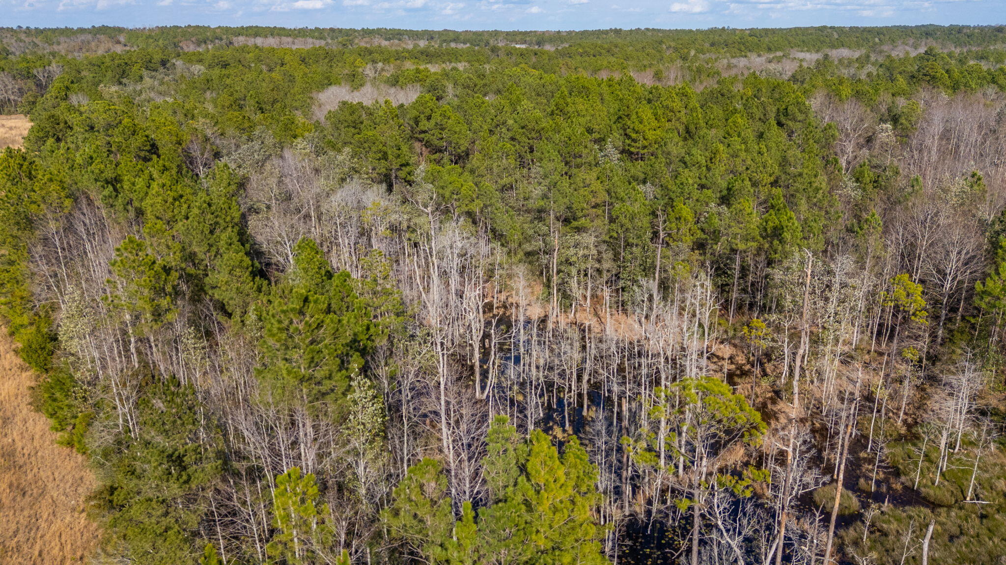 METES & BOUNDS - Farm