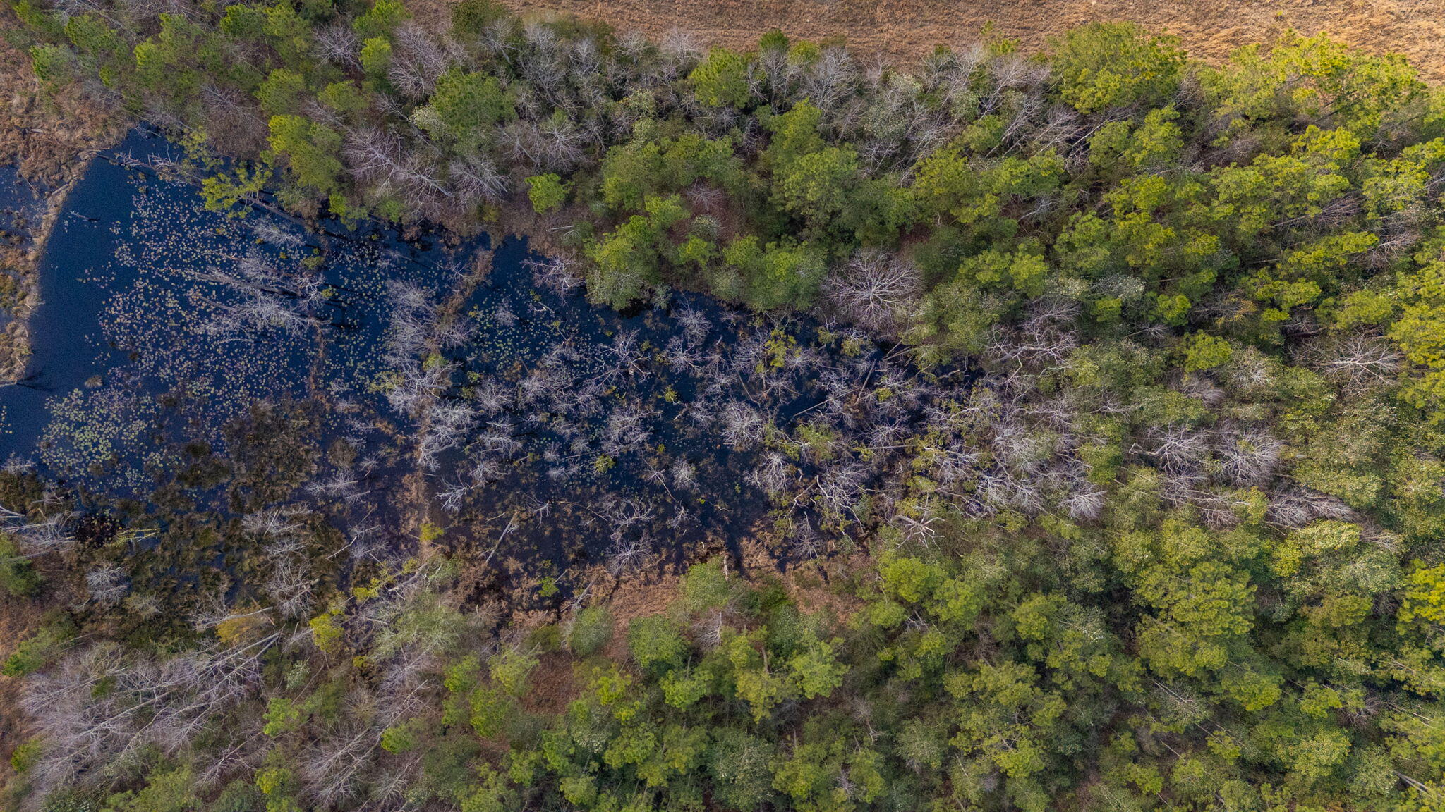 METES & BOUNDS - Farm