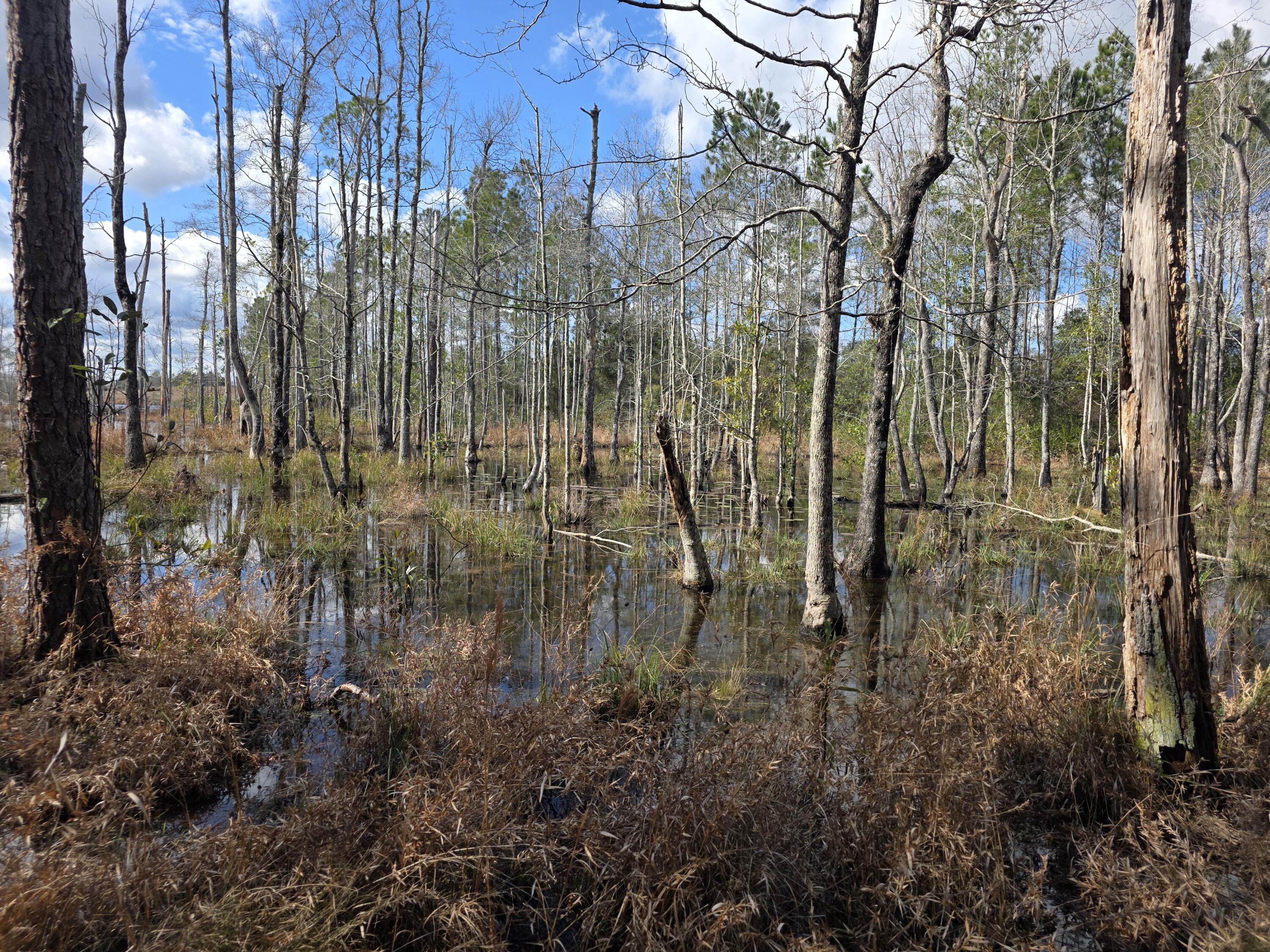 METES & BOUNDS - Farm